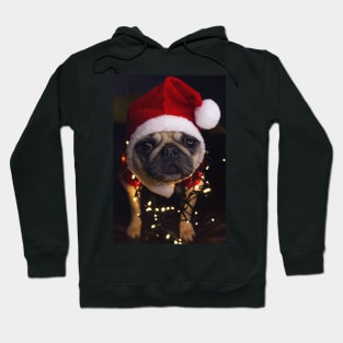 Santa Puppy Hoodie